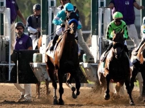 Political Horse Race: The Swing State Odds