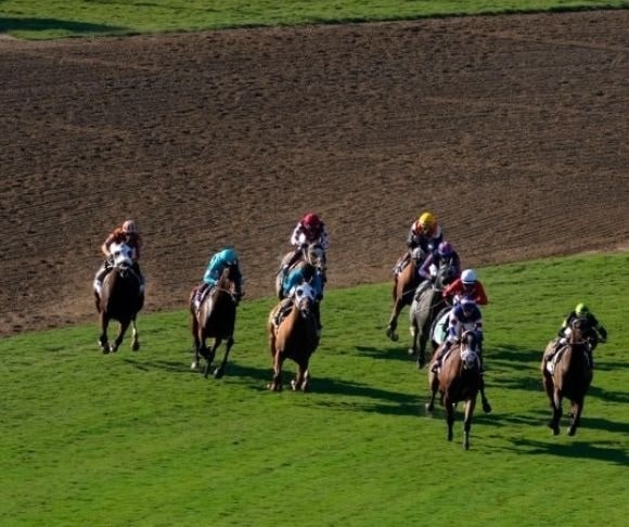 Political Horse Race: Bettors Giving Up On Presidential Race?