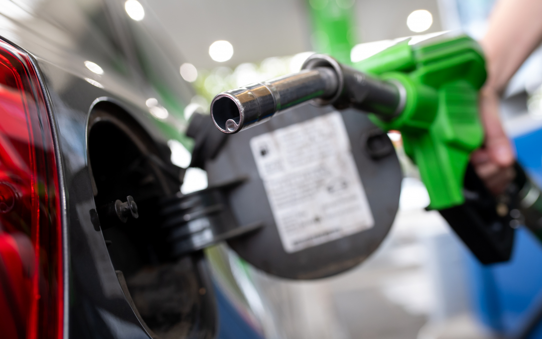 Swamponomics: Joe Biden Tells OPEC to Drill, Baby, Drill