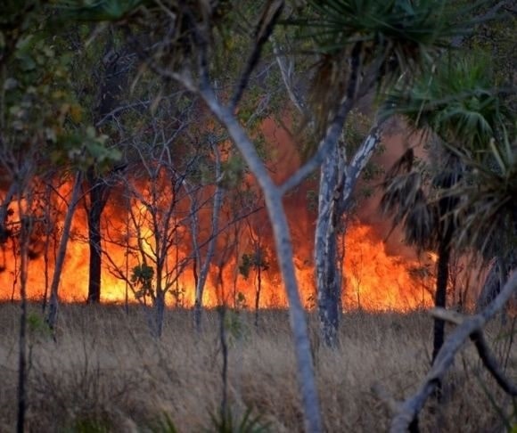 The Massive CO2 Emissions of ‘Black Summer’ Australian Wildfires