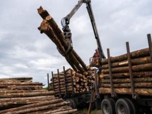 GettyImages-1339638616 Lumber