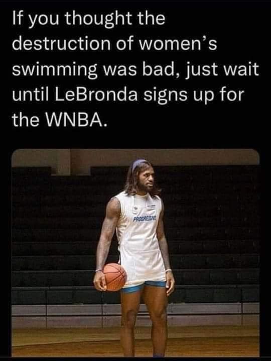 LeBronda WNBA meme