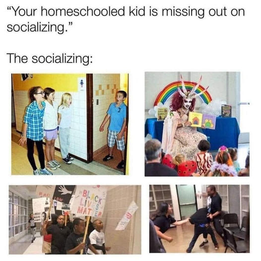 homeschooling meme