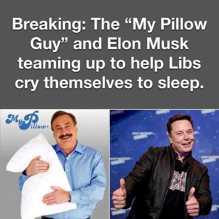 My pillow Musk meme