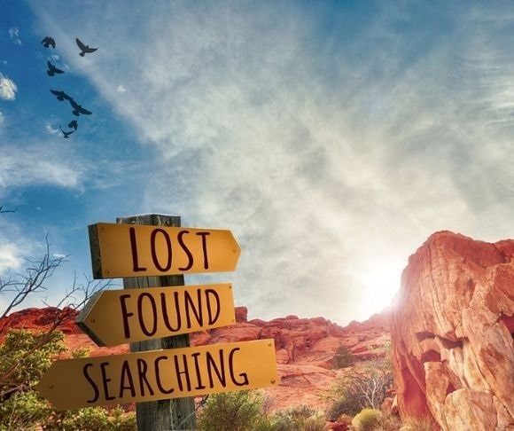Lost Found Searching - Pixabay