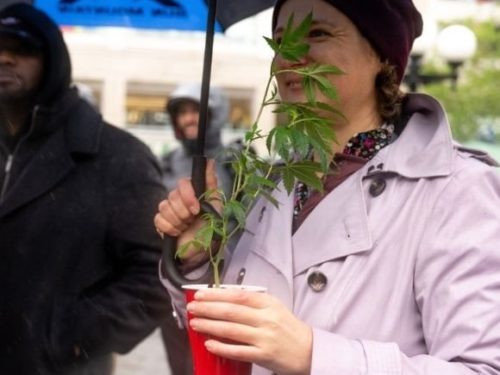 Marijuana Legislation - A Real Joint Effort or Smoke and Mirrors?