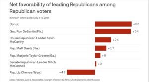 Liz Chaney poll