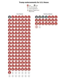 wapo trump endorsed candidates