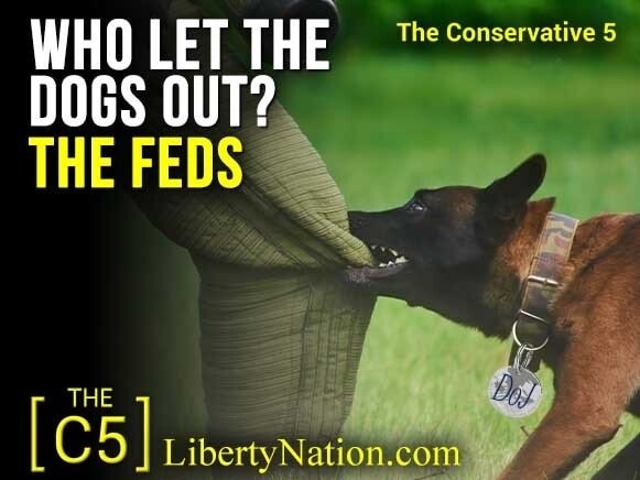 Who Let the Dogs Out? The Feds – C5 TV