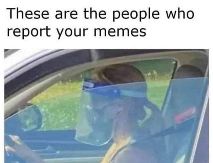 report your memes meme