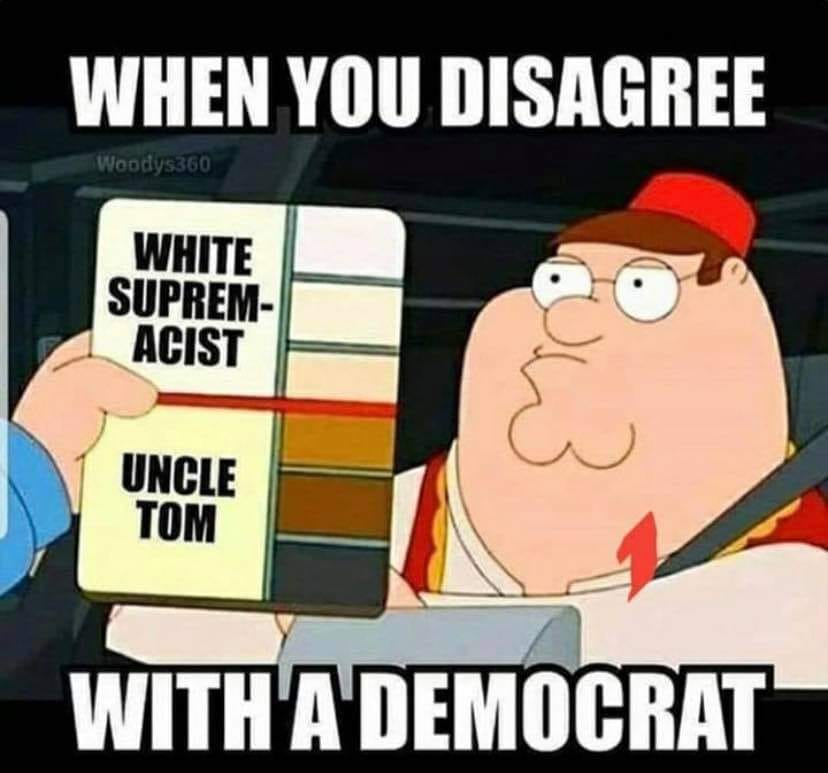 disagree with a Democrat meme