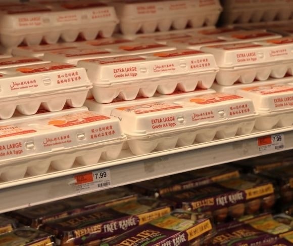 Progressives Blame Corporate Greed for Egg Prices