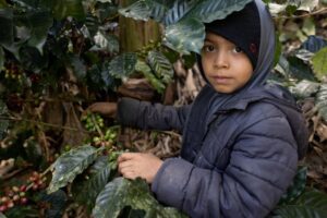 GettyImages-1459806278 child labor