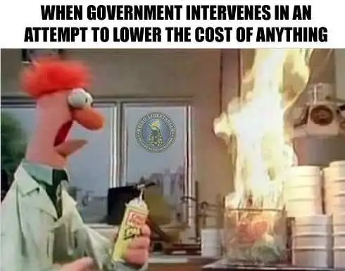 government interferes meme