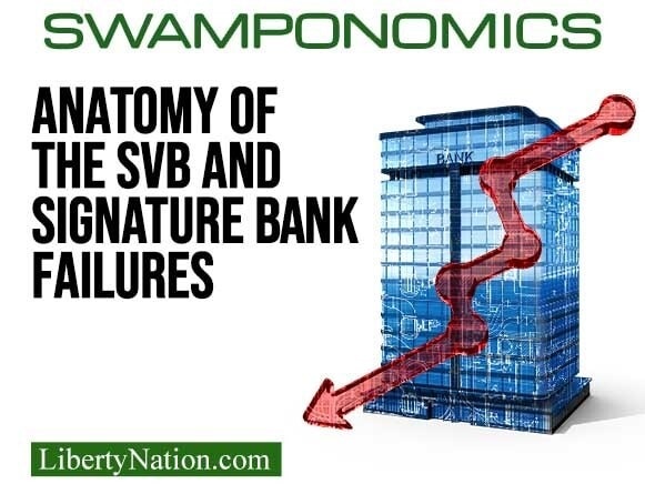 Anatomy of the SVB and Signature Bank Failures – Swamponomics