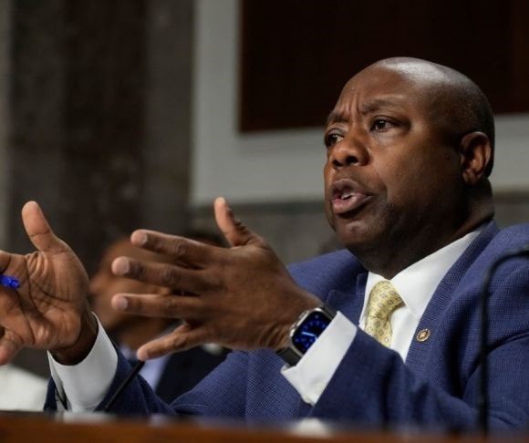 What Does Tim Scott Bring to the Table?