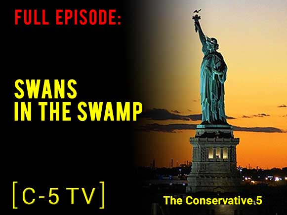 Swans in the Swamp – Full Episode – C5 TV