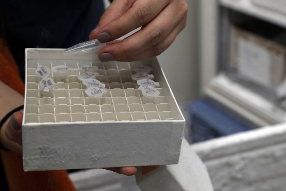 GettyImages-1409001285 DNA