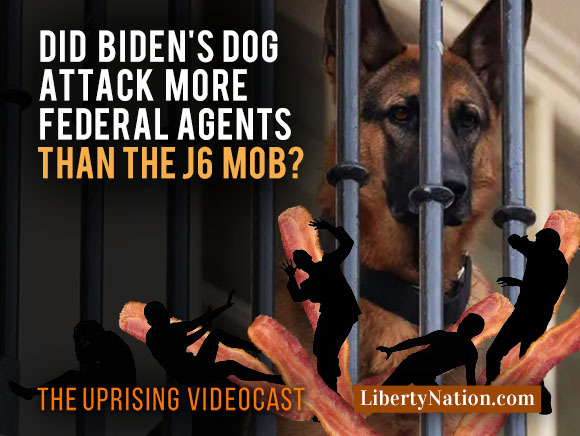 Did Biden’s Dog Attack More Federal Agents Than the J6 Mob? – Uprising