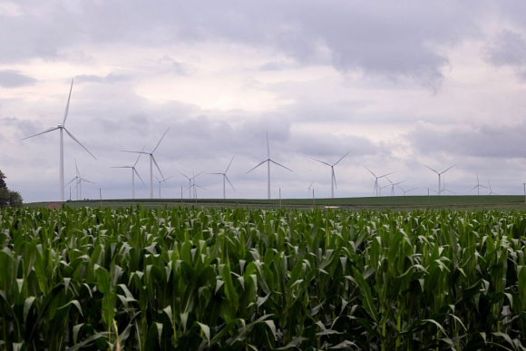 GettyImages-2223833399 food