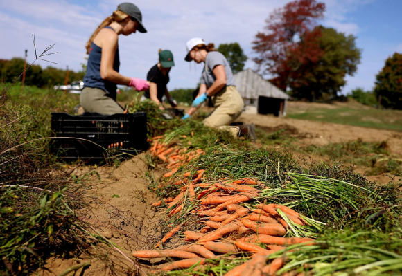 GettyImages-2239421188 farmers