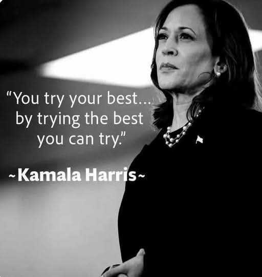 Daily Political Memes