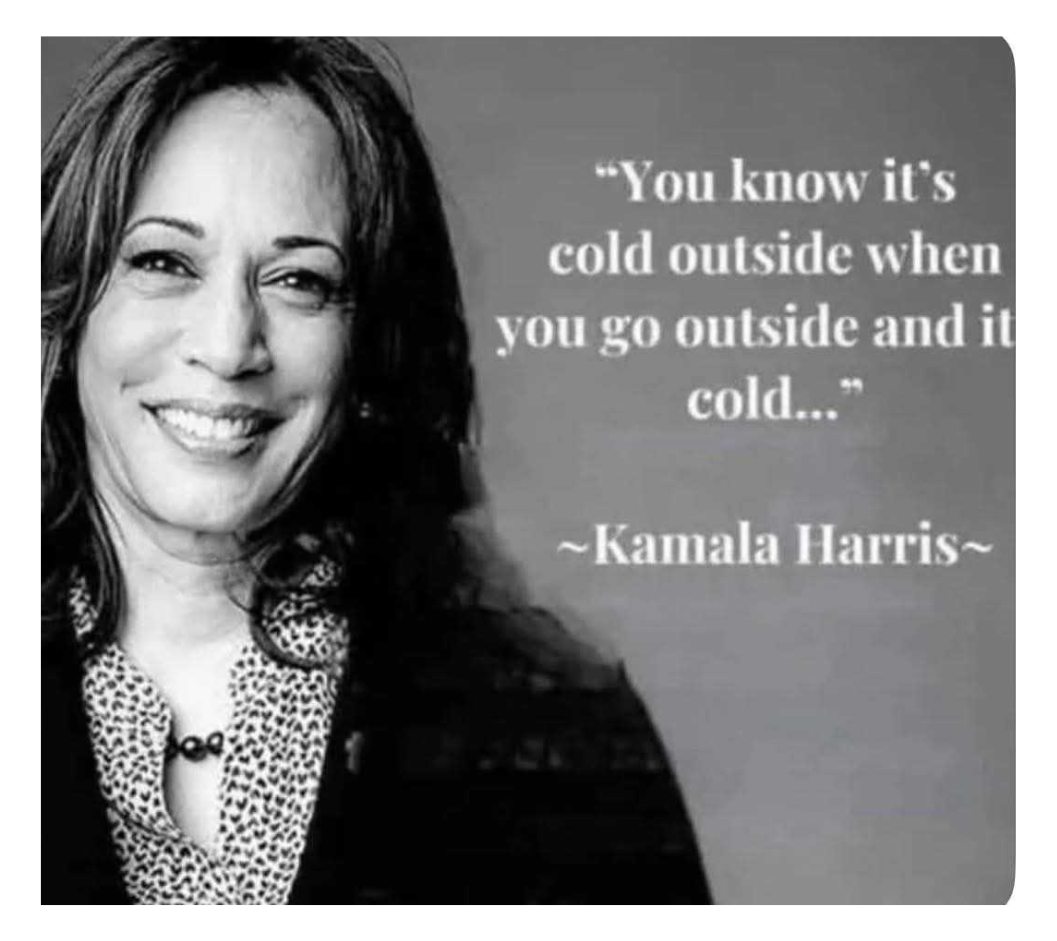 Daily Political Memes