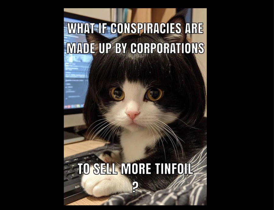 Daily Political Memes